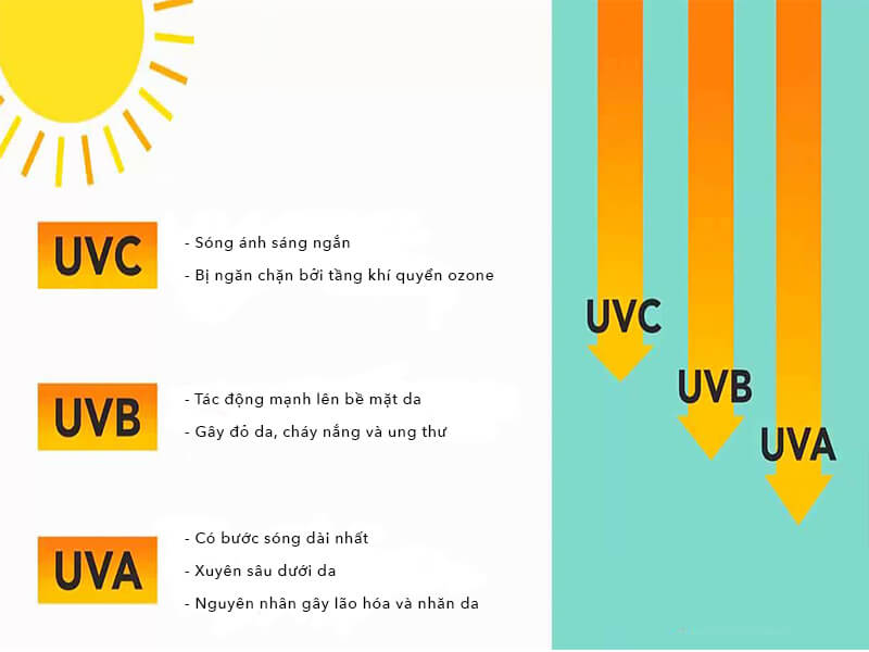 Tia UV được chia thành 3 loại là tia UVA, UVB và UVC