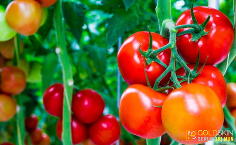 Cà chua cũng là một mỹ phẩm thiên nhiên giúp trị mụn đầu đen