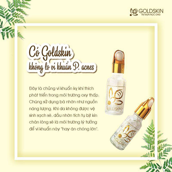 Sản phẩm của Goldskin là tập hợp của nhiều loại dược liệu tự nhiên